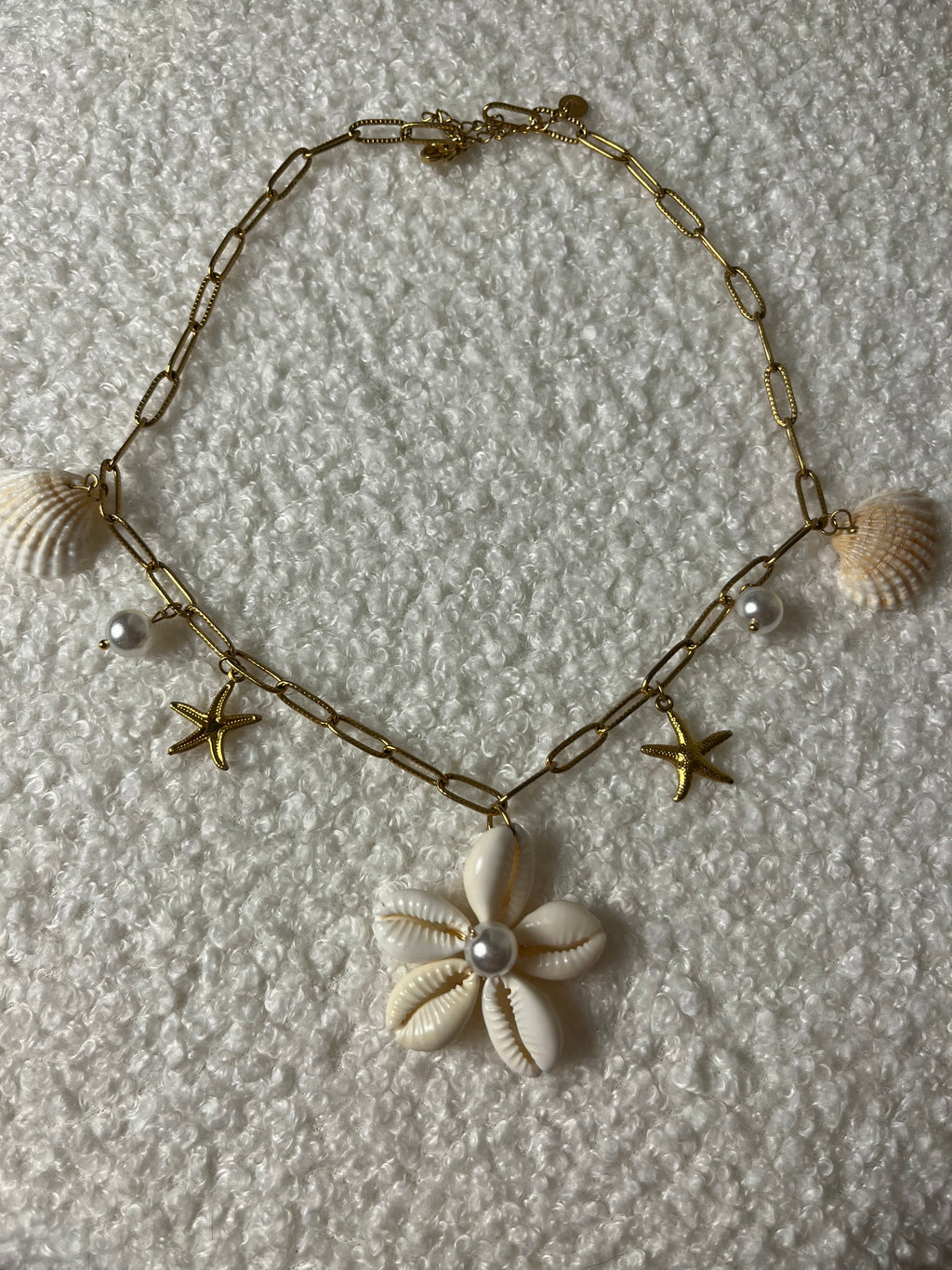 Coquillage - Blanc
