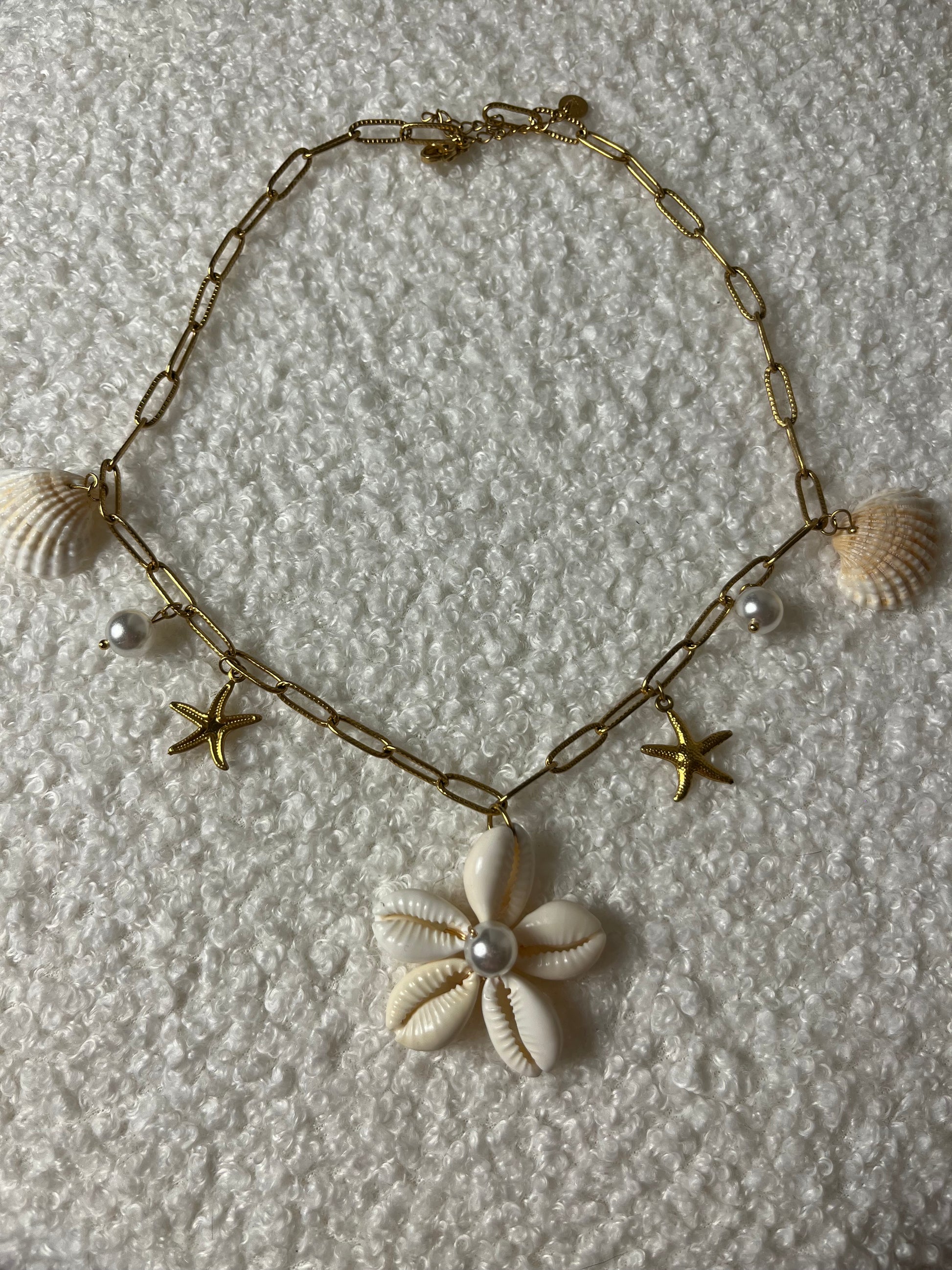 Coquillage - Blanc