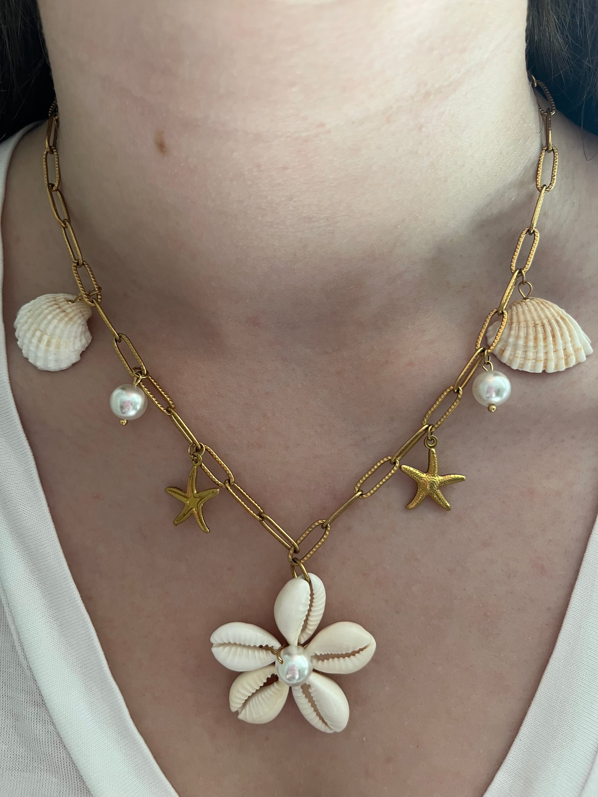 Coquillage - Blanc